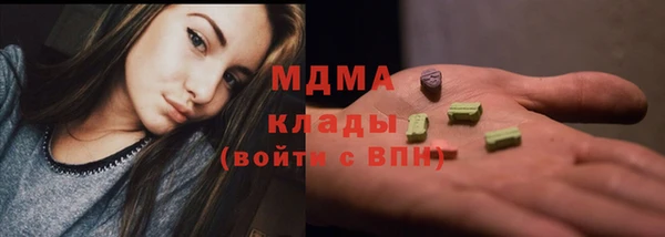 хмурый Алексин