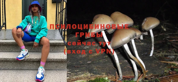 крисы Арсеньев