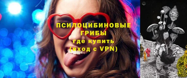 хмурый Алексин