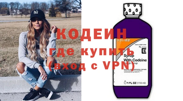 хмурый Алексин