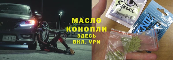 хмурый Алексин